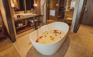 8608 stand alone bathtub-project 