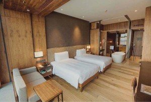 bathtub in bed room